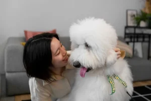 ペットの抜け毛対策を簡単掃除でスッキリ解決