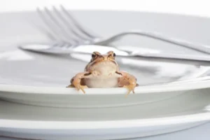 朝一番にカエルを食べて生産性向上：Start Each Day with a Toad