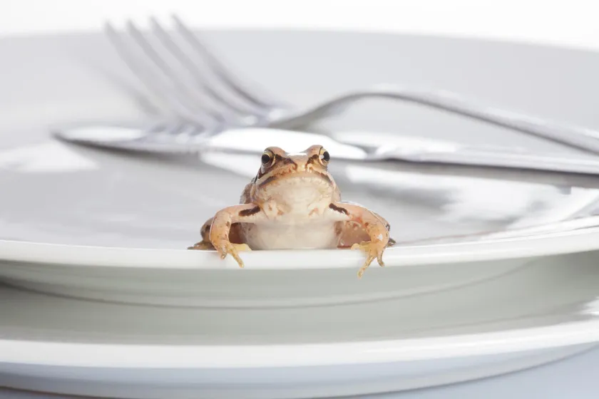 朝一番にカエルを食べて生産性向上：Start Each Day with a Toad