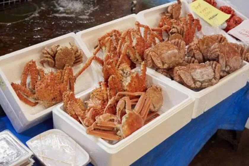 高級食材や調理器具をお土産にして旅の続きを再現する自己表現旅